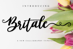 Britale Script: A Romantic Font for Digital Design