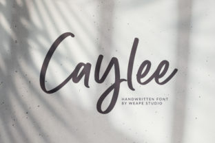 Caylee Script: The Font That Elevates Your Campaigns