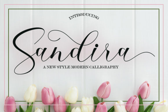 Font Review: Sandira Script for Digital Design