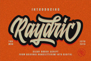 Raydric Script Shadow Outline: A Web Designer’s Take on Modern Typography
